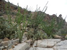 photo thumbnail #10