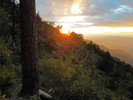 photo thumbnail #14