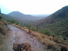 photo thumbnail #3