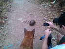 photo thumbnail #6