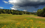 photo thumbnail #12