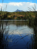 2013-09-01 :3: Southern AZ Scenic Drive :: outdoor_lover