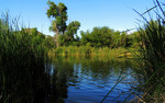 2013-09-01 :3: Southern AZ Scenic Drive :: outdoor_lover