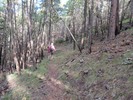 photo thumbnail #10