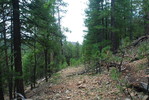 photo thumbnail #4