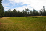photo thumbnail #15