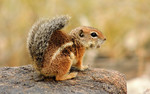 photo thumbnail #12