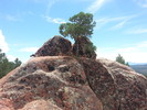 photo thumbnail #9