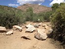 photo thumbnail #7