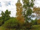 Featured Full Photo