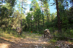 photo thumbnail #4