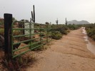 photo thumbnail #1