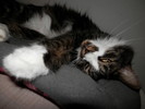photo thumbnail #11