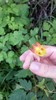 photo thumbnail #14