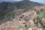 photo thumbnail #4