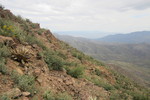 photo thumbnail #8