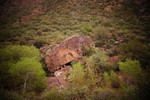 photo thumbnail #12