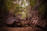 photo thumbnail #14