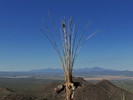 photo thumbnail #10