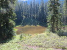 photo thumbnail #5