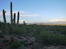 photo thumbnail #4