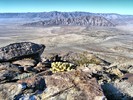 photo thumbnail #1