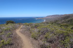 photo thumbnail #8