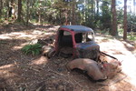 photo thumbnail #7