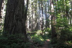 photo thumbnail #3