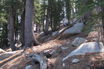 photo thumbnail #6