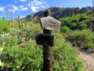 photo thumbnail #11