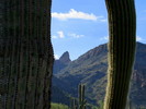 photo thumbnail #13
