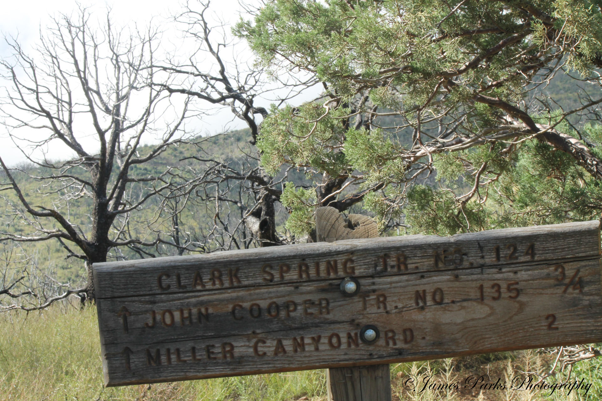 Clark Spring Trail 124, AZ HikeArizona