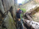 photo thumbnail #8