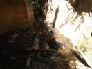photo thumbnail #15