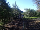 photo thumbnail #2