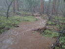 photo thumbnail #14