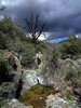 photo thumbnail #8