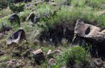 photo thumbnail #3