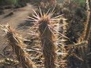 photo thumbnail #3