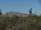 photo thumbnail #6