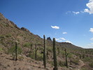 photo thumbnail #1
