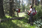 photo thumbnail #4