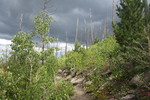 photo thumbnail #9