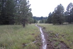 photo thumbnail #14