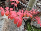 photo thumbnail #15