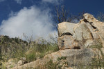 photo thumbnail #6