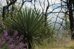 photo thumbnail #15