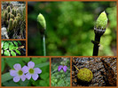 photo thumbnail #15