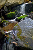 photo thumbnail #14